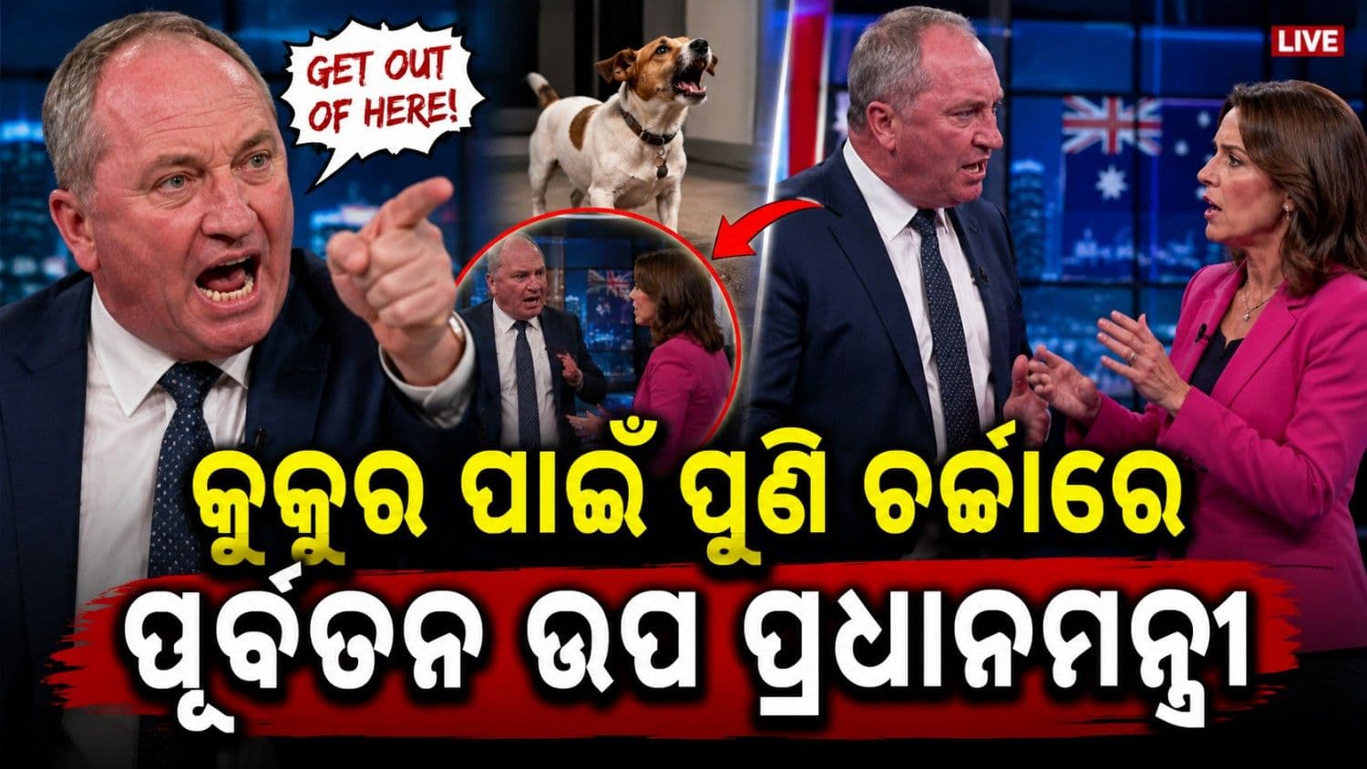 ସାକ୍ଷାତକାର ବେଳେ କୁକୁର ଉପରେ ଚିହିଁକି ଉଠିଲେ ପୂର୍ବତନ ଅଷ୍ଟ୍ରେଲୀୟ ଉପପ୍ରଧାନମନ୍ତ୍ରୀ; ଭିଡି଼ଓ ଭାଇରାଲ୍