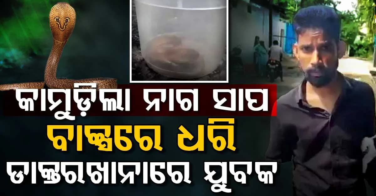 କାମୁଡିଲା କୋବ୍ରା: ସାପକୁ ଧରି ହସ୍ପିଟାଲରେ ଯୁବକ, ଦୌଡି ପଳାଇଲେ ସବୁ ଡାକ୍ତର