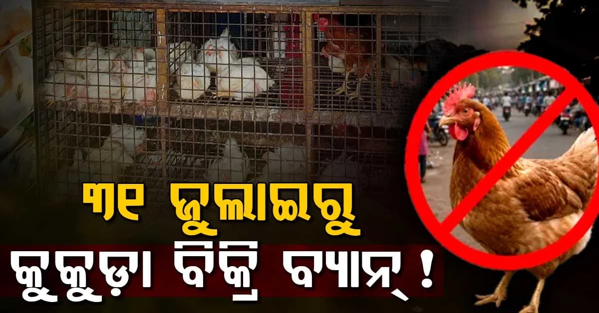 ଆଉ ମିଳିବନି କୁକୁଡା ମାଂସ: ୩୧ ଜୁଲାଇରୁ ବିକ୍ରି ନିଷେଧ, ଅଧିକ ପ୍ରଭାବିତ ହେବେ...