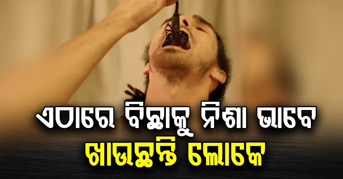 ବ୍ରାଉନସୁଗର ପରେ ଏବେ ବିଛା ନିଶାରେ ମାତୁଛନ୍ତି ଲୋକେ