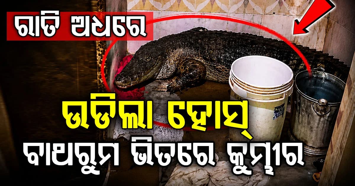 ବାଥରୁମ ଭିତରେ ୭ ଫୁଟର ହିଂସ୍ର କୁମ୍ଭୀର; କବାଟ ଖୋଲିଲା ବେଳକୁ ଡରି ଛାନିଆ
