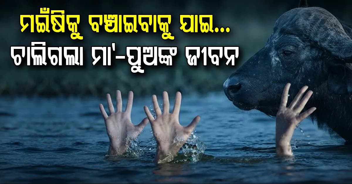 ମଇଁଷିକୁ ବଞ୍ଚାଇବାକୁ ଯାଇ ଚାଲିଗଲା ମା'-ପୁଅଙ୍କ ଜୀବନ, ଆମେଠିରେ ହୃଦୟବିଦାରକ ଘଟଣା