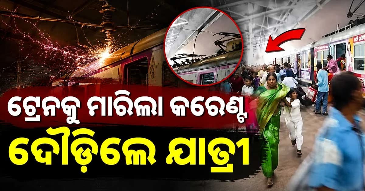 ଟ୍ରେନ୍ରେ ଯାଉଥିଲେ, କିଛି ସେକେଣ୍ଡରେ ଲାଗିଲା ବିଦ୍ୟୁତ ଝଟକା..ଛାନିଆ ଯାତ୍ରୀ