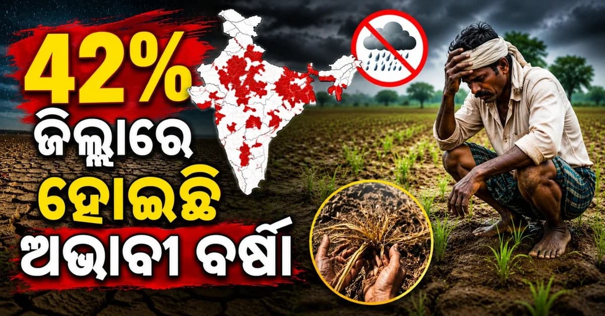 ଦୁର୍ବଳ ମୌସୁମୀର ପ୍ରଭାବ; ଦେଶର ୪୨% ଜିଲ୍ଲାରେ ହୋଇଛି ଅଭାବୀ ବର୍ଷା, ପଛେଇଲା ଖରିଫ ଫସଲ ବୁଣାବୁଣି