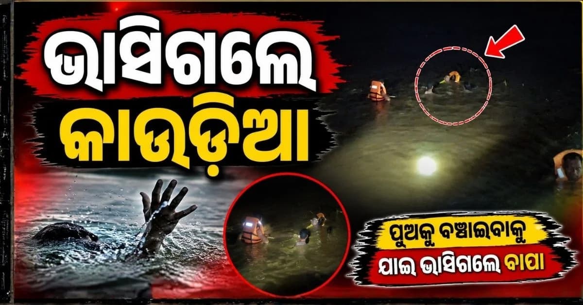 ମହାନଦୀରେ ଅଘଟଣ; ପୁଅକୁ ବଞ୍ଚାଇବାକୁ ଯାଇ ଭାସିଗଲେ ବାପା