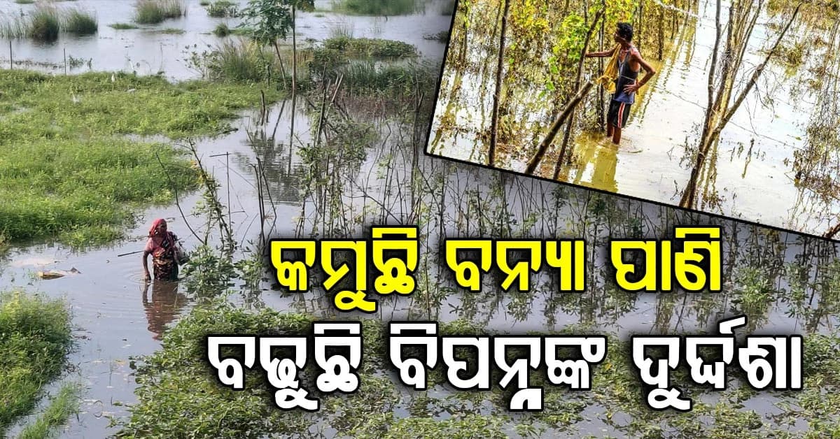 ଆଜିଠୁ ବନ୍ୟା କ୍ଷୟକ୍ଷତି ଆକଳନ,ରିପୋର୍ଟ ଆଧାରରେ ତୁରନ୍ତ କ୍ଷତିଗ୍ରସ୍ତଙ୍କୁ ମିଳିବ ସହାୟତା
