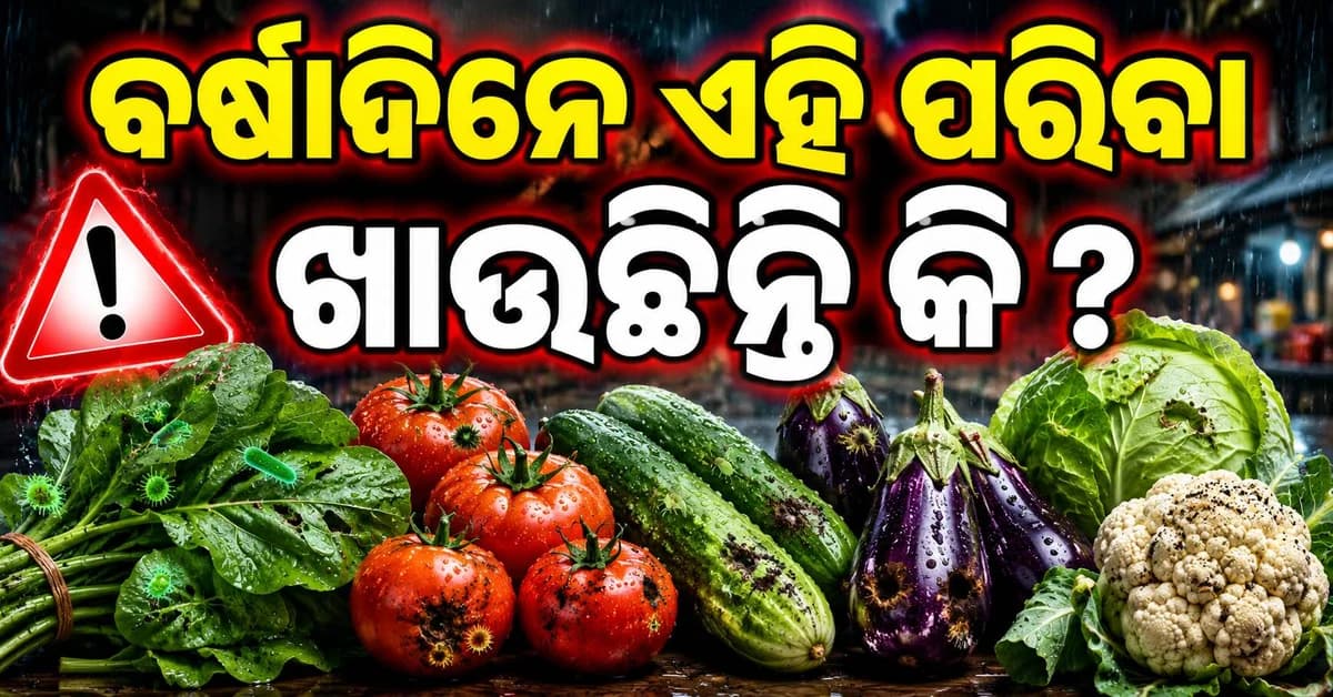 ବର୍ଷାରେ ପରିବା ଖାଇବା ପୂର୍ବରୁ ଜାଣନ୍ତୁ ଏହି କଥା, କରନ୍ତୁ ଏହି ଯାଞ୍ଚ