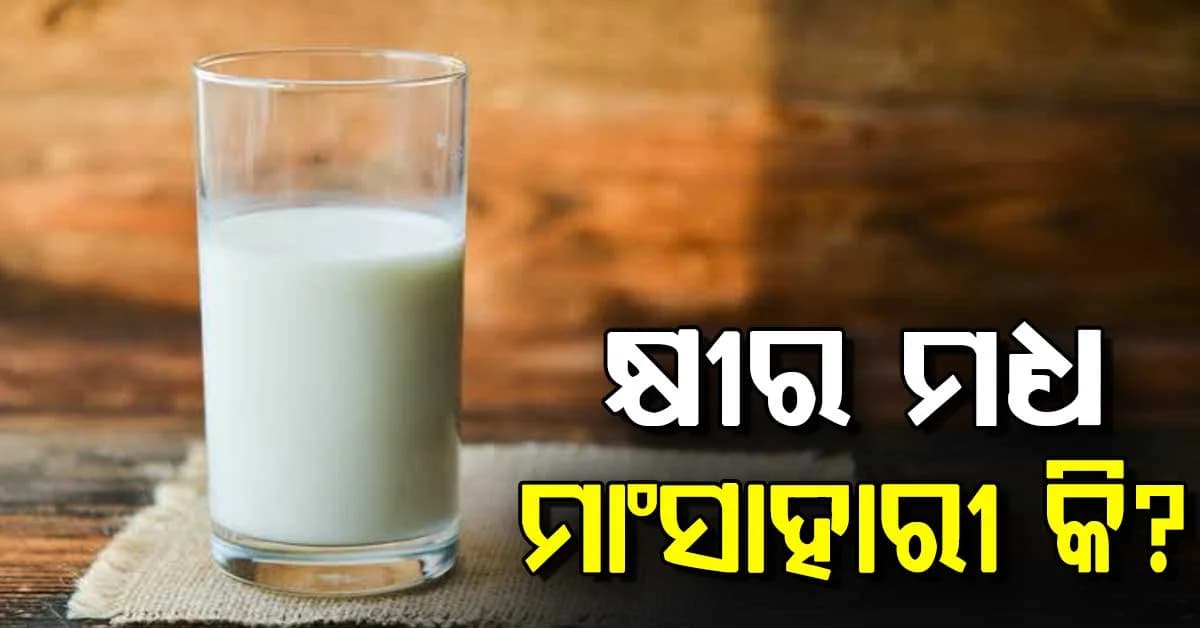 ନିରାମିଷ ଏବଂ ମାଂସାହାରୀ କ୍ଷୀର ମଧ୍ୟରେ ପାର୍ଥକ୍ୟ: ଜାଣନ୍ତୁ ଏହା କିପରି ହୁଏ ?