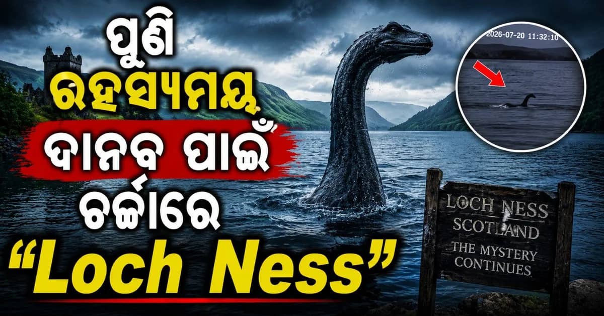 ହ୍ରଦରେ ନଜର ଆସିଲା ୩୩ ଫୁଟ ଲମ୍ବର ବିଶାଳକାୟ ପ୍ରାଣୀ; ୱେବକ୍ୟାମ୍ ରେ କଏଦ ହେଲା ଭିଡ଼ିଓ