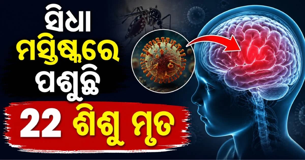 ଚିନ୍ତା ବଢାଇଲାଣି ଚାନ୍ଦିପୁରା ଭାଇରସ୍ ; ୫ ବର୍ଷରୁ କମ୍ ବୟସର ଶିଶୁମାନଙ୍କୁ ଆଟାକ୍ କରୁଛି