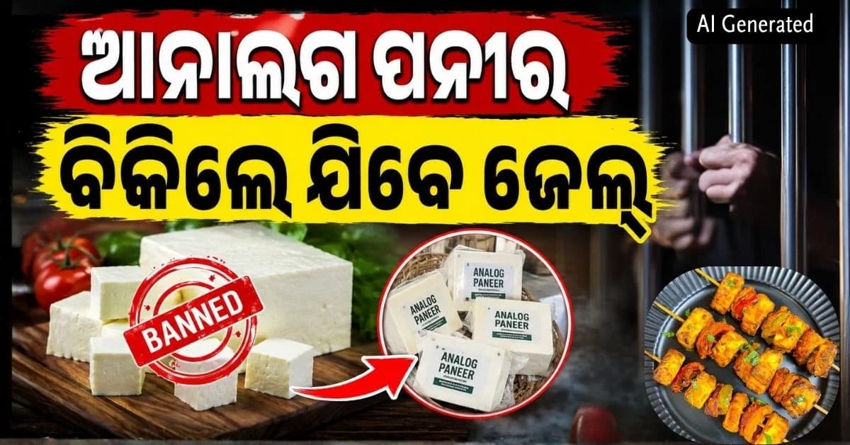 'ଆନାଲଗ ପନୀର'କୁ ସମ୍ପୂର୍ଣ୍ଣ ନିଷେଧ କଲେ ସରକାର; ବିକ୍ରି ଧରାପଡ଼ିଲେ ହେବ ଜେଲ୍