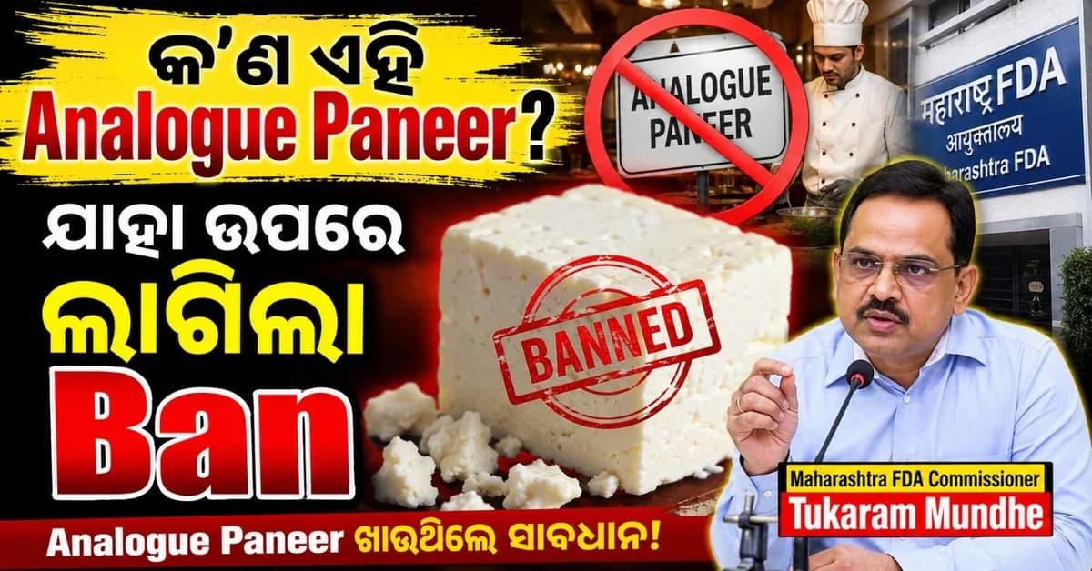 'ଆନାଲଗ୍' ପନୀର ଉପରେ ବର୍ଷେ ପାଇଁ ଲାଗିଲା ରୋକ; ହୋଟେଲ-ରେସ୍ତୁରାଁ ଲାଗି ଜାରି ହେଲା ଚେତାବନୀ