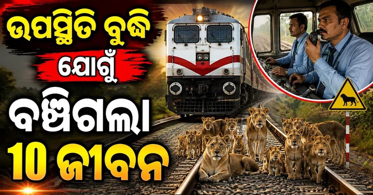 ଦ୍ରୁତ ବେଗରେ ଦୌଡୁଥିଲା ଟ୍ରେନ୍; ହଠାତ୍ ରେଲୱେ ଟ୍ରାକ୍ ଉପରକୁ ମାଡ଼ି ଆସିଲେ ୧୦ ସିଂହ, ଶେଷରେ...