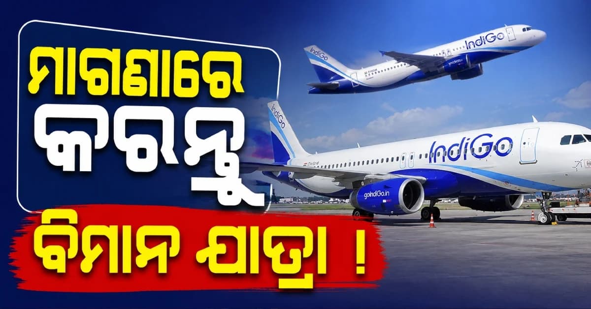 IndiGo ଦେଉଛି ୨୦ ହଜାର ମାଗଣା ଟିକେଟ୍, ଘରେ ବସି ଏମିତି ଏହି ଅଫରର ଲାଭ ଉଠାନ୍ତୁ...