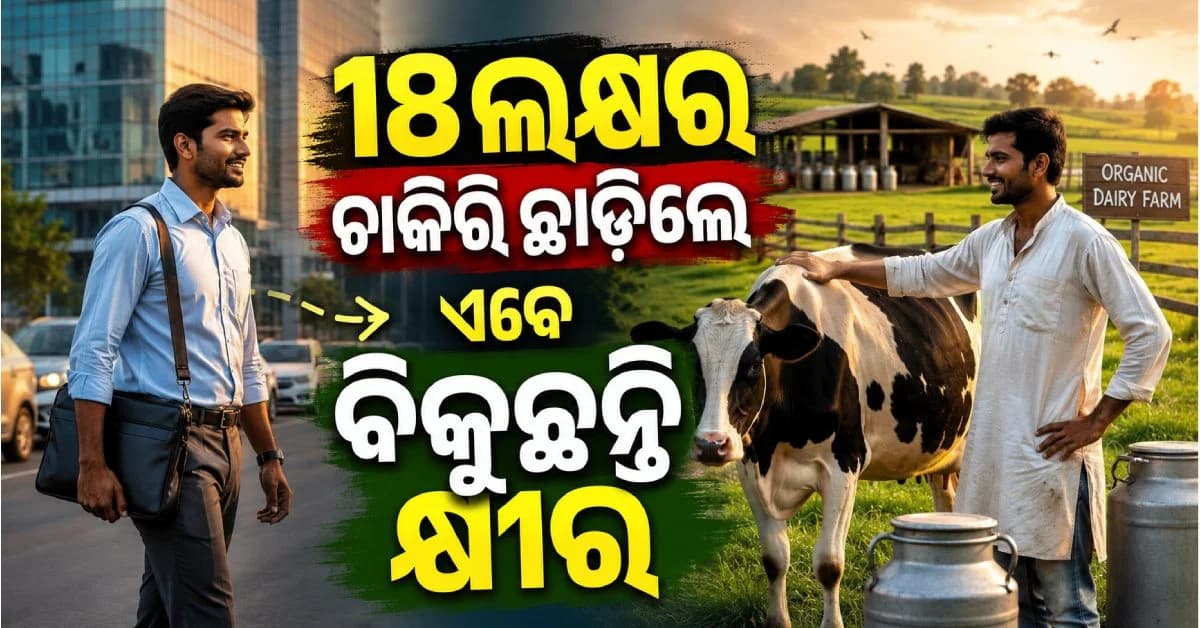 IT ଚାକିରି ଛାଡ଼ି କରୁଛନ୍ତି କ୍ଷୀର ବ୍ୟବସାୟ; ରୋଜଗାର ଶୁଣି ଉଡ଼ିବ ହୋସ୍