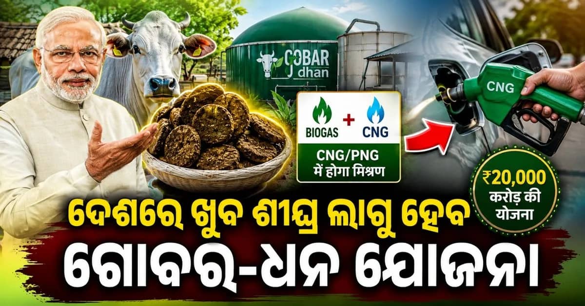 CNG-PNG ଗ୍ୟାସ୍ ରେ ମିଶିବ ବାୟୋଗ୍ୟାସ୍! ଗୋବର-ଧନ ଯୋଜନାକୁ ମିଳିପାରେ କ୍ୟାବିନେଟ୍ ଅନୁମୋଦନ
