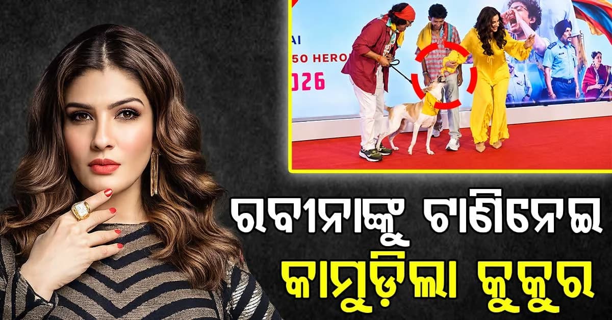 ଚାଲିଥିଲା ଫିଲ୍ମ ସ୍କ୍ରିନିଂ: ଅଭିନେତ୍ରୀଙ୍କୁ ସମସ୍ତଙ୍କ ସାମ୍ନାରେ କାମୁଡିଦେଲା କୁକୁର, ଭାଇରାଲ ହେଉଛି ଭିଡିଓ
