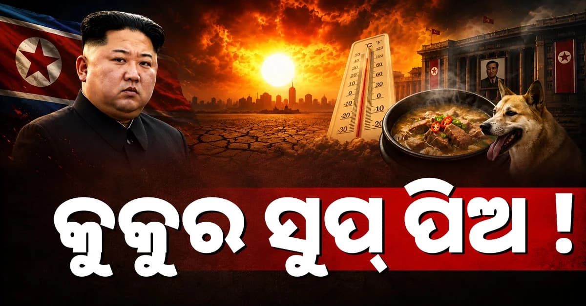 ୪୦ ଡିଗ୍ରୀ ଗରମ; 'କୁକୁର ସୁପ୍' ପିଇବାକୁ କାହିଁକି ଲୋକଙ୍କୁ କହୁଛନ୍ତି ଉତ୍ତର କୋରିଆ ସରକାର ?