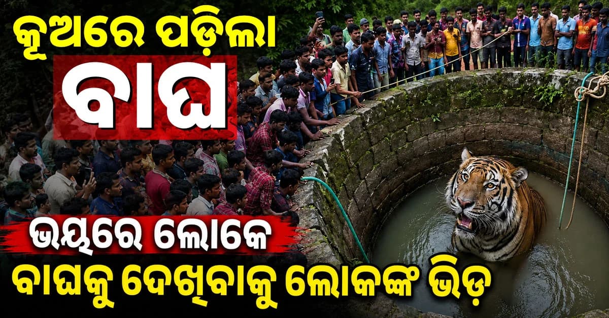 କୁଅରେ ପଡ଼ିଲା ବାଘ, ୭ ଘଣ୍ଟା ପରେ ଉଦ୍ଧାର କଲା ବନବିଭାଗ