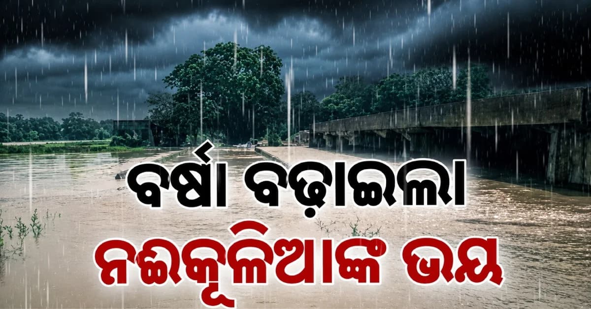 ୫ ଦିନ ଯାଏଁ ସାରା ଓଡ଼ିଶାରେ ହାଇଆଲର୍ଟ, ବୁଡ଼ାଇବ ଲଘୁଚାପ ବର୍ଷା...ପୁଣି ଭସାଇବ ବନ୍ୟା