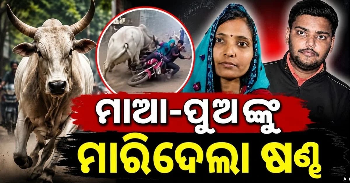 ବାଇକ୍ରେ ଯାଉଥିଲେ ମାଆ-ପୁଅ; ଷଣ୍ଢ ଆକ୍ରମଣରେ ଚାଲିଗଲା ଜୀବନ