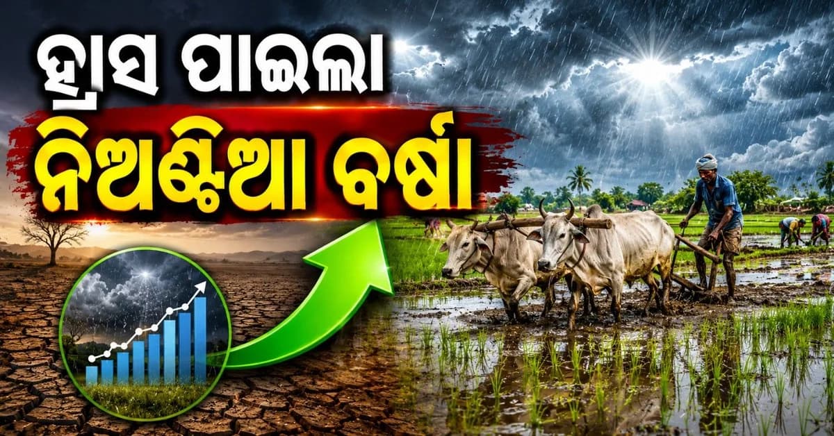 ପୂରଣ ହେଲା ବର୍ଷାର ଅଭାବ; ଆଗେଇଲା ଖରିଫ ଫସଲ ବିହନ ବୁଣାବୁଣି