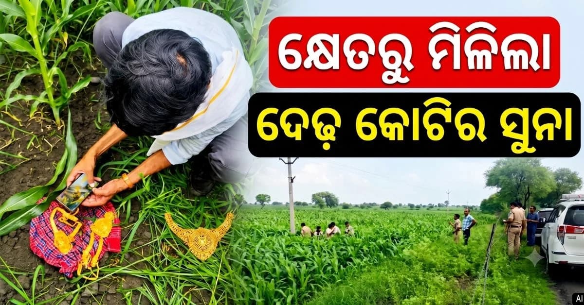ଚାଷ ଜମିରେ ପୋତା ହୋଇଥିଲା ଦେଢ଼ କୋଟିର ସୁନା; ୨ ରାଜ୍ୟ, ୧୫ ଜିଲ୍ଲାରେ ରେଡ୍ ପରେ ମିଳିଲା ଲିଙ୍କ୍