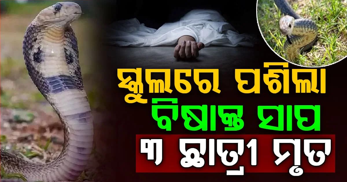ଆଶ୍ରମ ସ୍କୁଲରେ ପଶିଲା ସାପ: ନେଲା ୩ ଛାତ୍ରୀଙ୍କ ଜୀବନ, ଏମିତି କହିଲେ ଅଭିଭାବକ