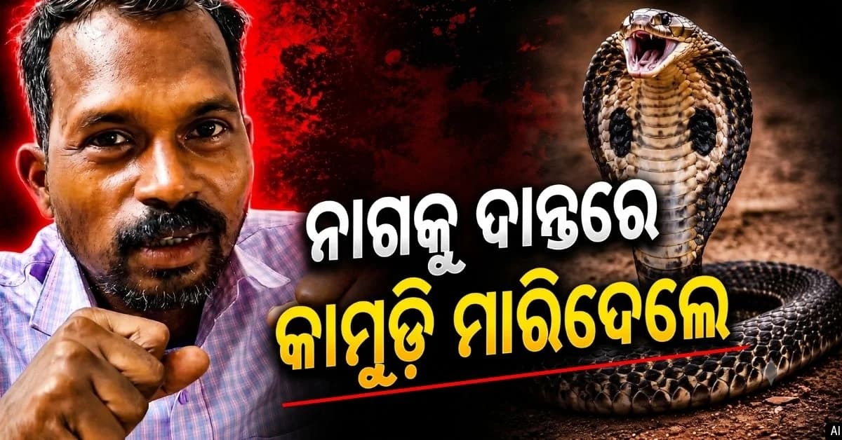 ଫଣା ଟେକିଲା ନାଗ; ସାପକୁ ପାଟିରେ ଭର୍ତ୍ତି କରି ଫଣାକୁ ଦାନ୍ତରେ ଛିଡ଼ାଇ ଦେଲେ ଯୁବକ