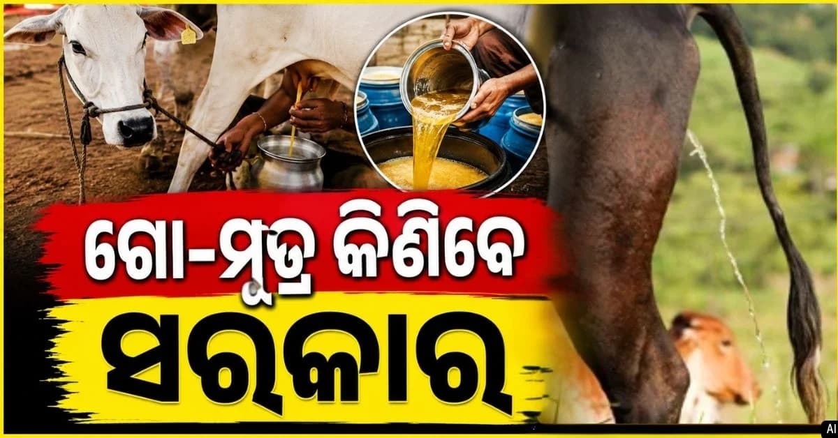 କ୍ଷୀର ପରେ ଚାଷୀଙ୍କୁ ଆତ୍ମନିର୍ଭର କରିବ ଗୋ-ମୂତ୍ର; ଲିଟର ପିଛା ୧୦ ଟଙ୍କା ଦେଇ କିଣିବେ ସରକାର
