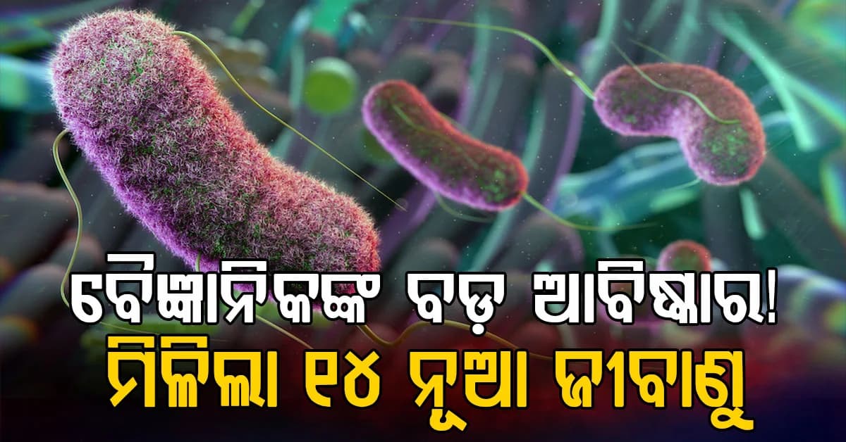 ଭାରତୀୟ ଜନଜାତିଙ୍କ ଅନ୍ତନଳୀରେ ମିଳିଲା ୧୪ ନୂଆ ଜୀବାଣୁ…ବୈଜ୍ଞାନିକ ବି ଆଶ୍ଚର୍ଯ୍ୟ….