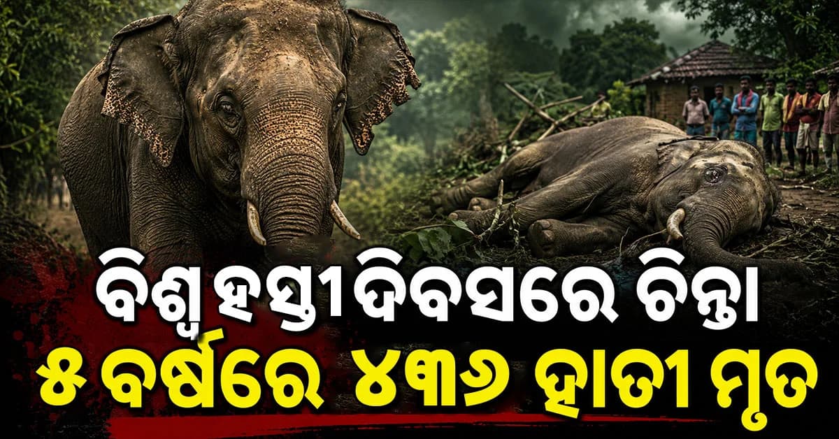 ଜଙ୍ଗଲ ଛାଡ଼ି ଗାଁ ମୁହାଁ ହାତୀ: ହାତୀ-ମଣିଷ ସଂଘର୍ଷ ଗଲାଣି ୭୪୯ ଜଣଙ୍କ ଜୀବନ