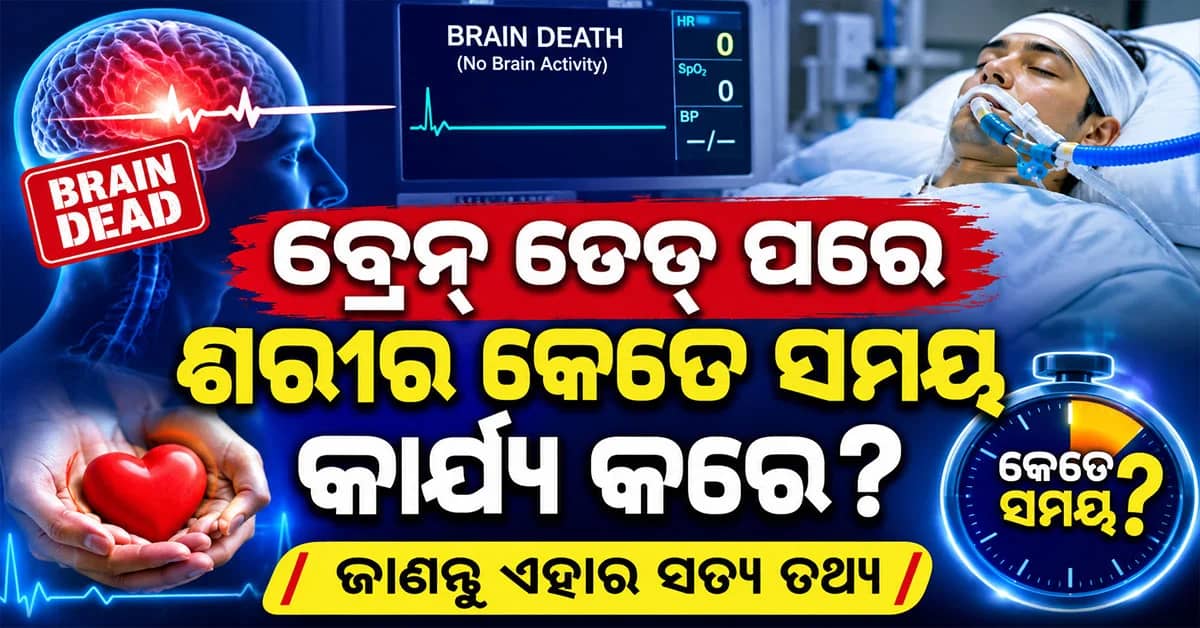 ବ୍ରେନ୍ ଡେଡ୍ ପରେ ଶରୀର କେତେ ସମୟ ପାଇଁ କାର୍ଯ୍ୟ କରେ? ଅଙ୍ଗ ଦାନ କିପରି କରାଯାଏ?