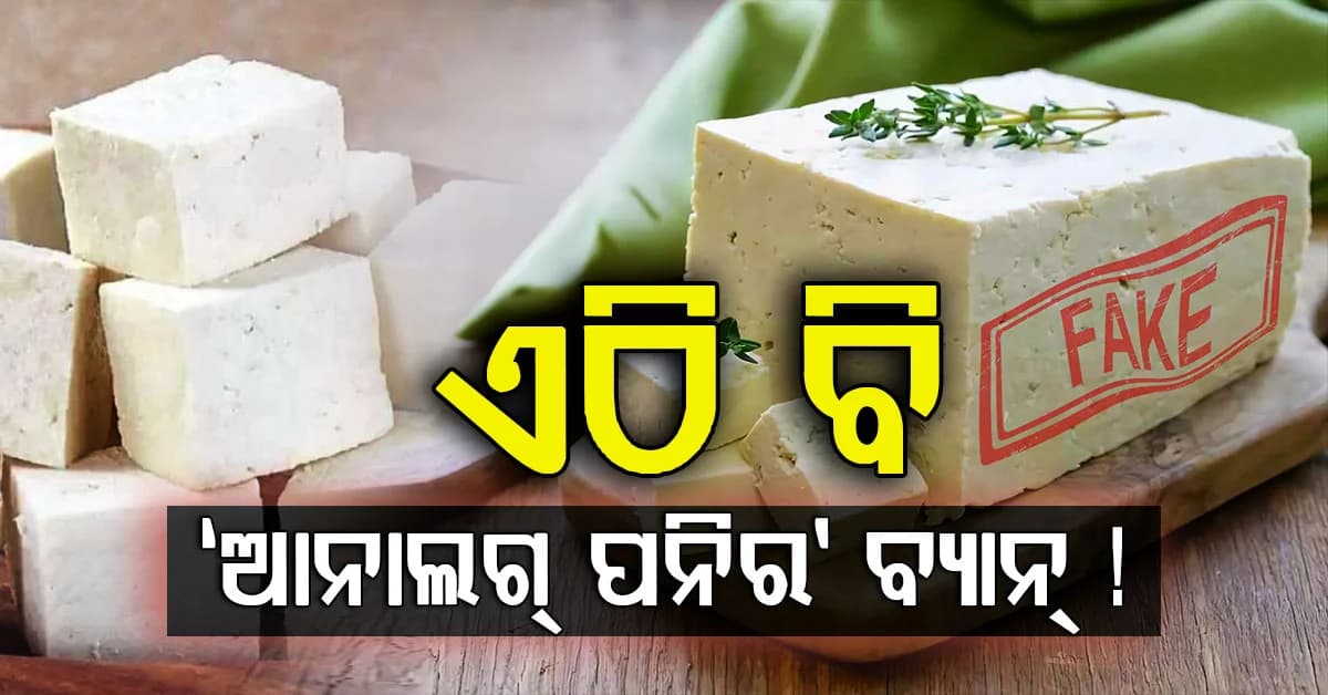 ଆଉ ମିଳିବନି ପନିର, ଏହି ରାଜ୍ୟରେ ବ୍ୟାନ ହେଲା 'ଆନାଲଗ୍ ପନିର'