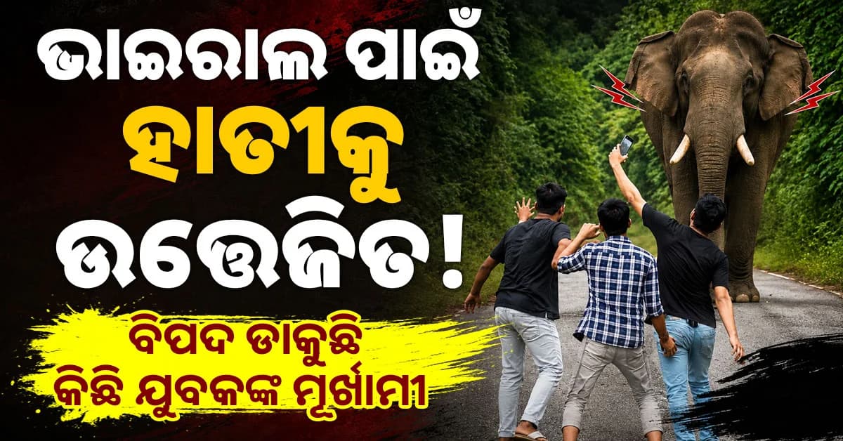 ହାତୀ-ମଣିଷ ଲଢେଇରେ ଗଡ଼ୁଛି ମୁଣ୍ଡ,ତିନି ବର୍ଷରେ ଗଲାଣି ୪୪୩ ଜଣଙ୍କ ଜୀବନ