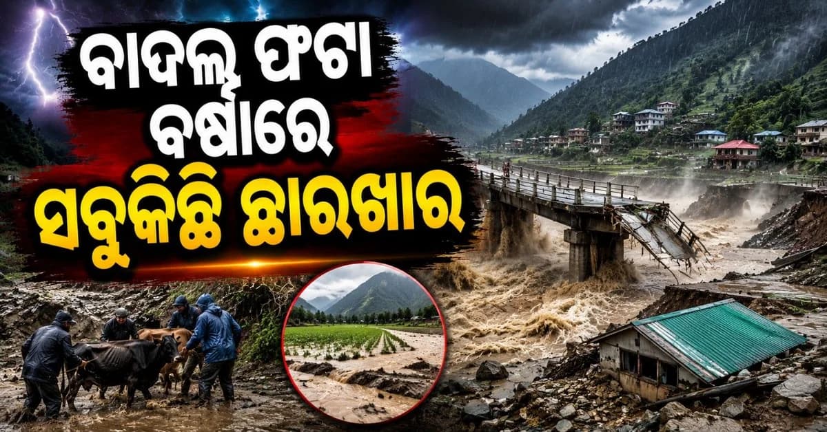 ବାଦଲ ଫଟା ବର୍ଷାରେ ବେହାଲ ଲାହୌଲ-ସ୍ପିତି; ଭାସିଗଲା ପୋଲ, ବନ୍ୟା ପାଣିରେ ବୁଡ଼ିଗଲା ଚାଷ ଜମି