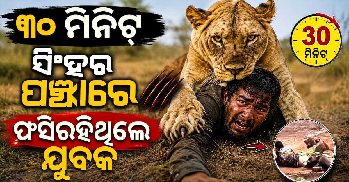 ସିଂହ ଆକ୍ରମଣ ଭିଡିଓ ଭାଇରାଲ: ୩୦ ମିନିଟ୍ ପାଇଁ ସିଂହର ପଞ୍ଝାରେ ଫସି ରହିଥିଲେ ଯୁବକ