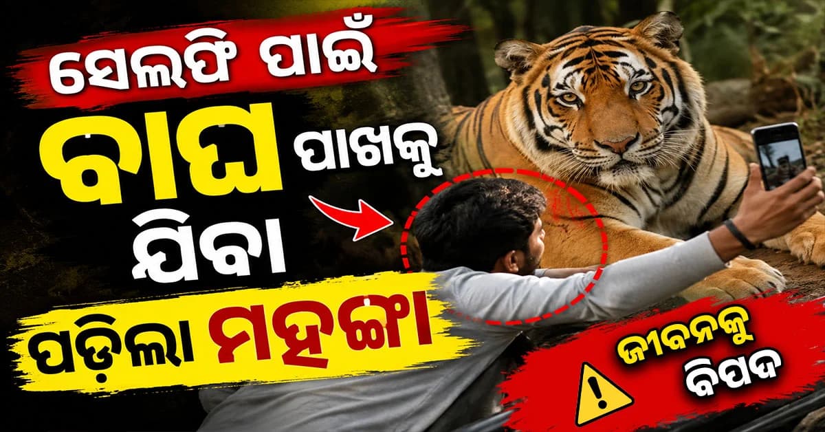 ରିଲ୍ ନିଶା ପାଇଁ ବଢ଼ୁଛି ବିପଦ,ଚେତାବନୀ ଦେଲେ ବନ ଅଧିକାରୀ