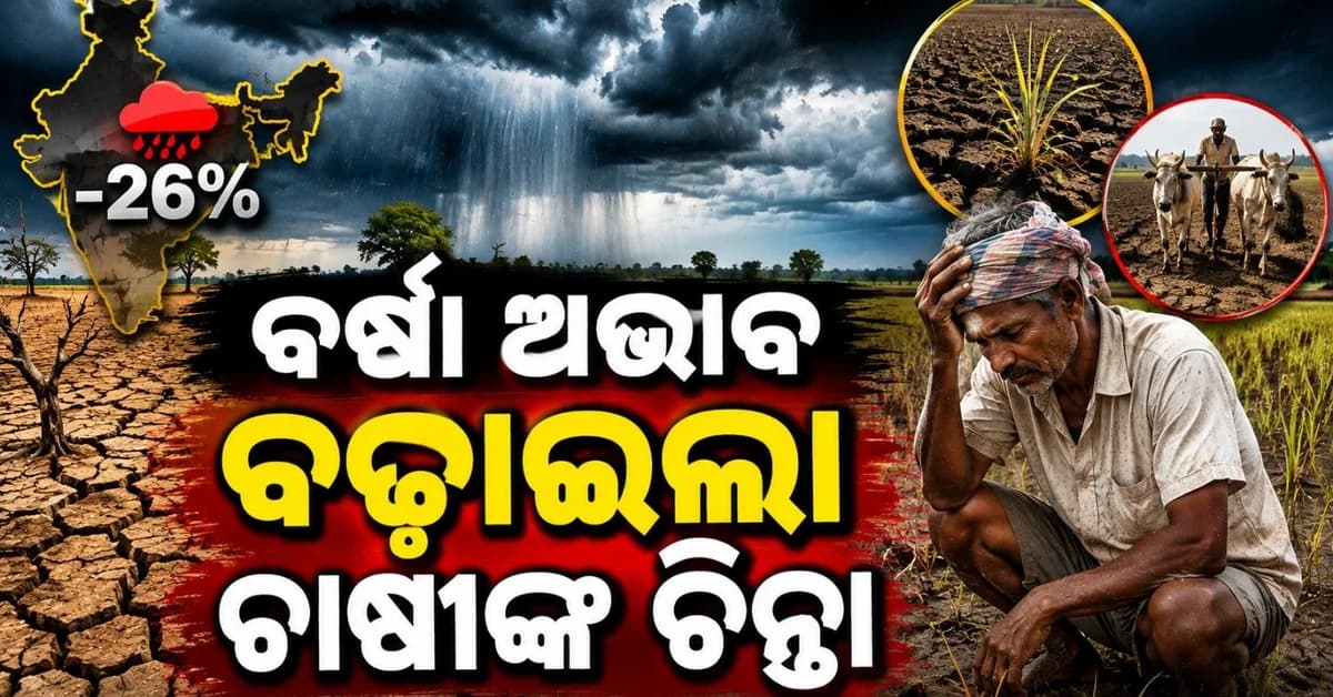ହ୍ରାସ ପାଇଛି ମୌସୁମୀ ବର୍ଷା; ୨୫.୧୦ ଲକ୍ଷ ହେକ୍ଟର ଫସଲ କ୍ଷତିଗ୍ରସ୍ତ