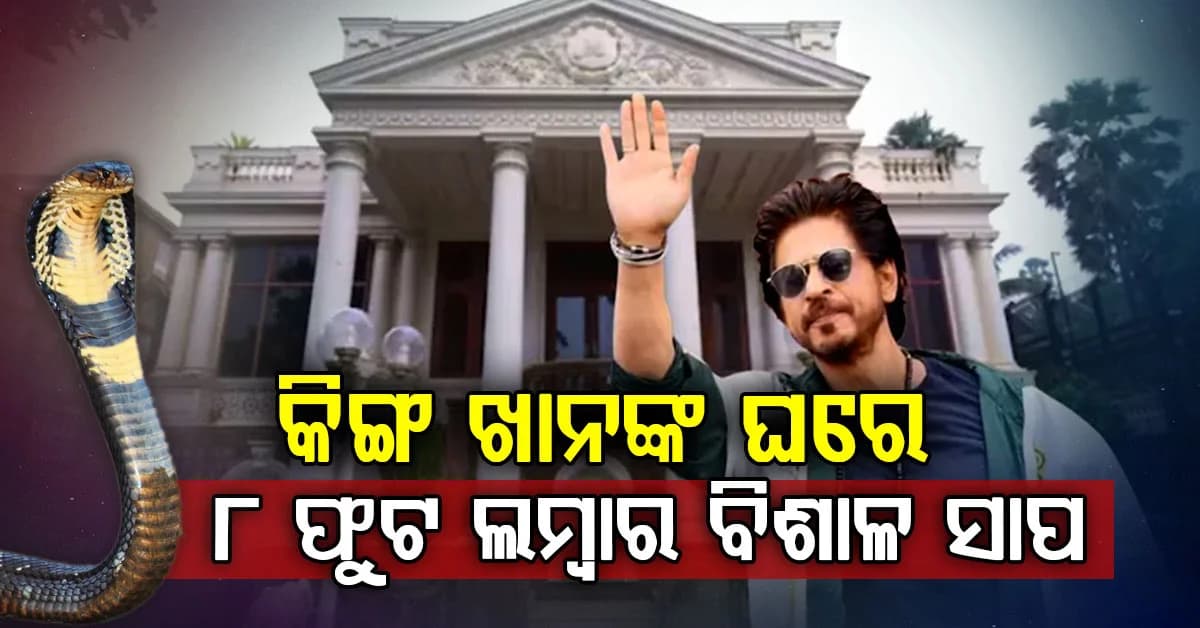 ନାଗପଞ୍ଚମୀରେ ମନ୍ନତରେ ଆତଙ୍କ… ଶାହରୁଖଙ୍କ ଘରୁ ବାହାରିଲା ୮ ଫୁଟିଆ ବିଶାଳ ସାପ