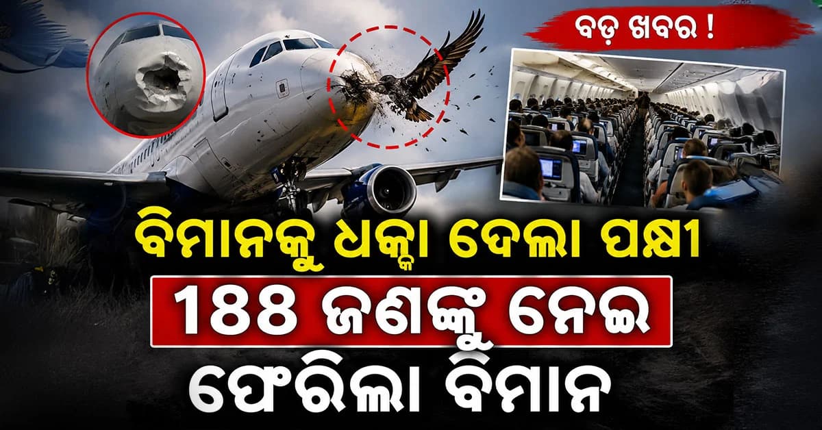 ଉଡ଼ାଣ ଭରିବା ସମୟରେ ବିମାନକୁ ଧକ୍କା ଦେଲା ପକ୍ଷୀ, ୧୮୮ ଜଣଙ୍କୁ ନେଇ ଫେରିଲା ବିମାନ