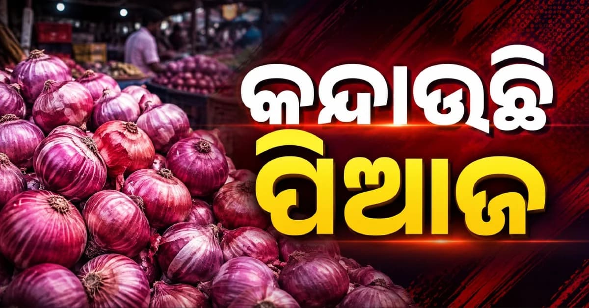ହାଣ୍ଡିଶାଳରୁ ଲୁହ ଗଡ଼ାଉଛି ପିଆଜ, ସପ୍ତାହରେ କିଲୋ ପିଛା ଦର ୩୦ ଟଙ୍କା ବୃଦ୍ଧି