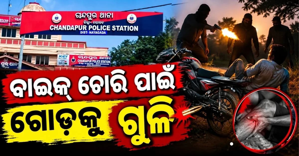 ଆଉ ସହର ନୁହେଁ, ଗାଁ ଗାଁରେ ମାତିଲେଣି ଅପରାଧୀ; ଗାଡ଼ି ଲୁଟ୍ ପାଇଁ କଲେ ଗୁଳିମାଡ଼