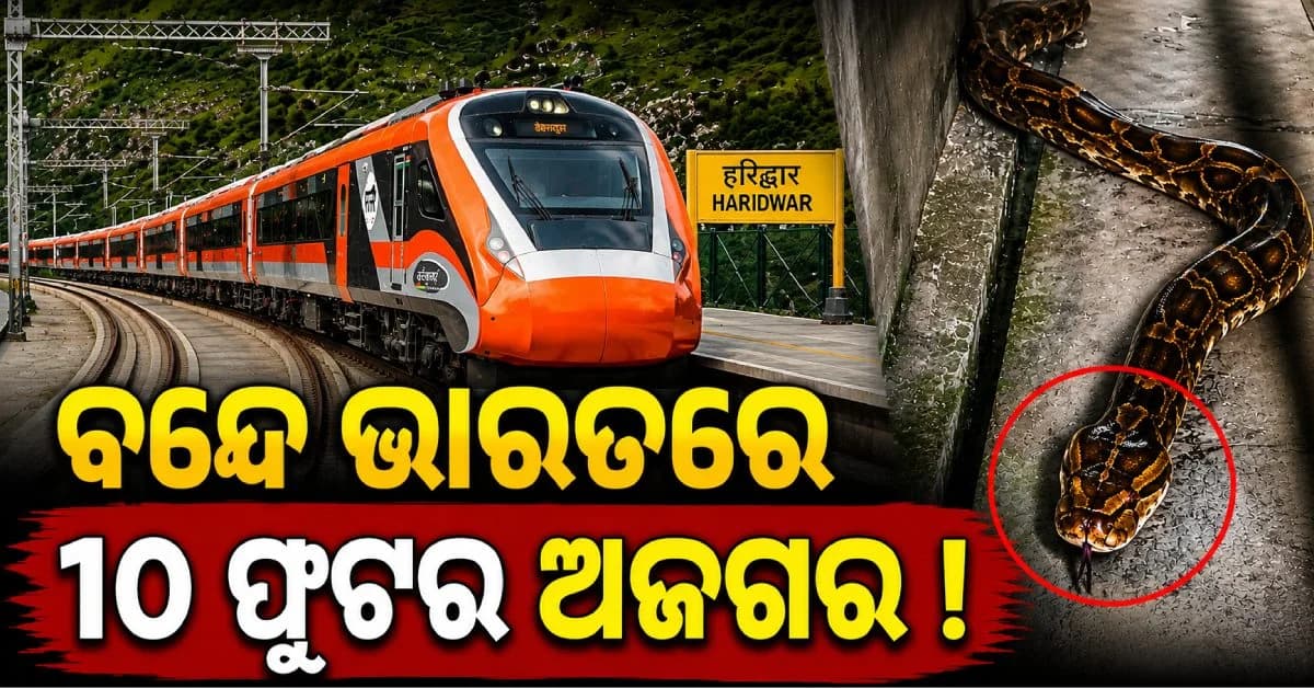 ୧୦ ଫୁଟର ଅଜଗରକୁ ନେଇ ବନ୍ଦେ ଭାରତରେ ଆତଙ୍କ; ଟ୍ରେନ୍ରେ ପଶିବା ବେଳର ଦୃଶ୍ୟ ଭାଇରାଲ୍