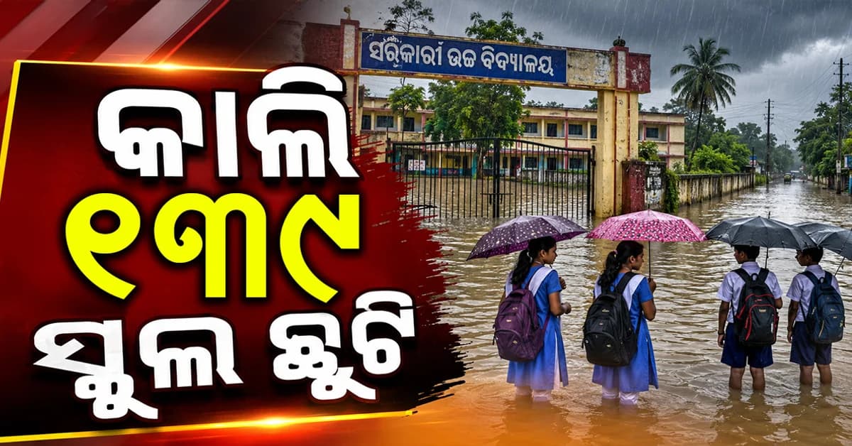 ଛାଡୁନି ବର୍ଷା: ଆସନ୍ତାକାଲି ଭଦ୍ରକରେ ୧୩୯ ସ୍କୁଲ ସହ ୨୨୫ ଅଙ୍ଗନବାଡି ଛୁଟି ଘୋଷଣା