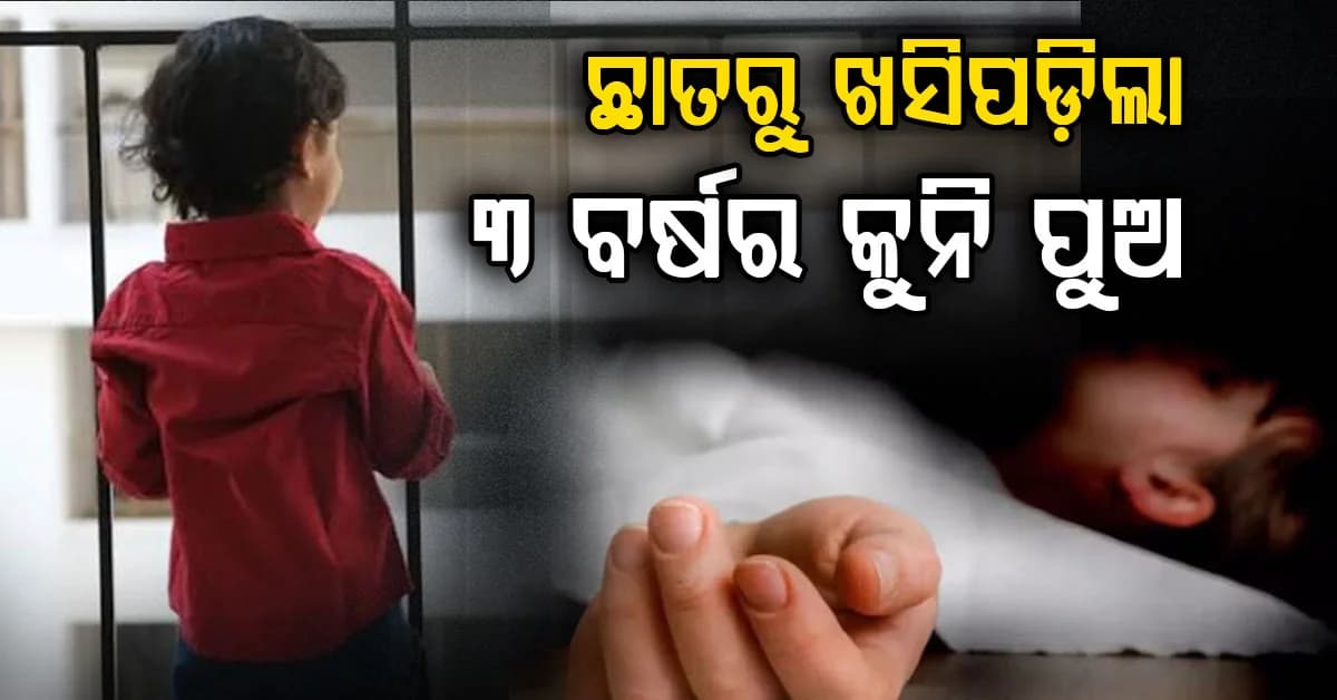 ଭାଇ-ଭଉଣୀଙ୍କୁ ବାଏ ବାଏ କରୁଥିଲା ଛାତରୁ ଖସିଗଲା କୁନି ପୁଅ ଆଉ ତା' ପରେ...
