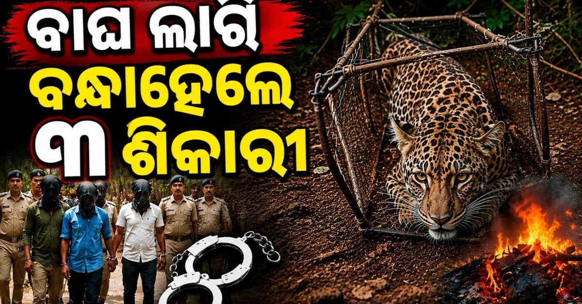 ଘୁଷୁରୀ ପାଇଁ ବିଛା ହୋଇଥିଲା ଜାଲରେ ଫସି ପ୍ରାଣ ହରାଇଲା କଲରା ପତ୍ରିଆ; ୩ ଗିରଫ