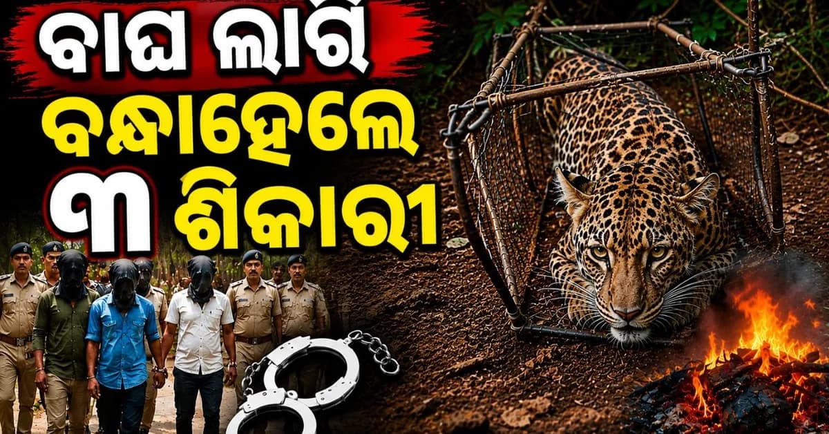 ଘୁଷୁରୀ ପାଇଁ ବିଛା ହୋଇଥିଲା ଜାଲରେ ଫସି ପ୍ରାଣ ହରାଇଲା କଲରା ପତ୍ରିଆ; ୩ ଗିରଫ