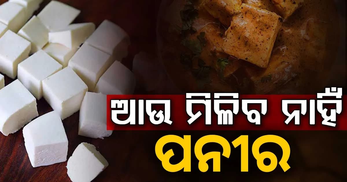 ପନିର ନାଁରେ ନକଲି ଉତ୍ପାଦ ବିକ୍ରି ଉପରେ କଟକଣା, ‘ଆନାଲଗ୍ ପନିର’ ବ୍ୟାନ୍