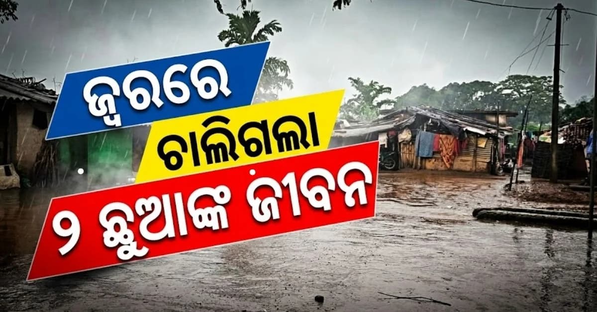 ଗାଁକୁ ଘାରିଛି ଜ୍ଵର ଚିନ୍ତା; ୨ ଛୁଆଙ୍କ ମୃତ୍ୟୁ, ୨୦ରୁ ଅଧିକ ଆକ୍ରାନ୍ତ